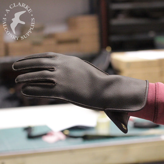 A view from the back...