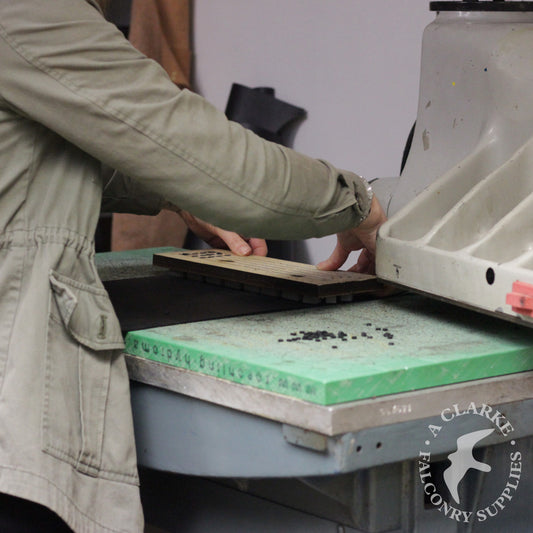 Training in progress...