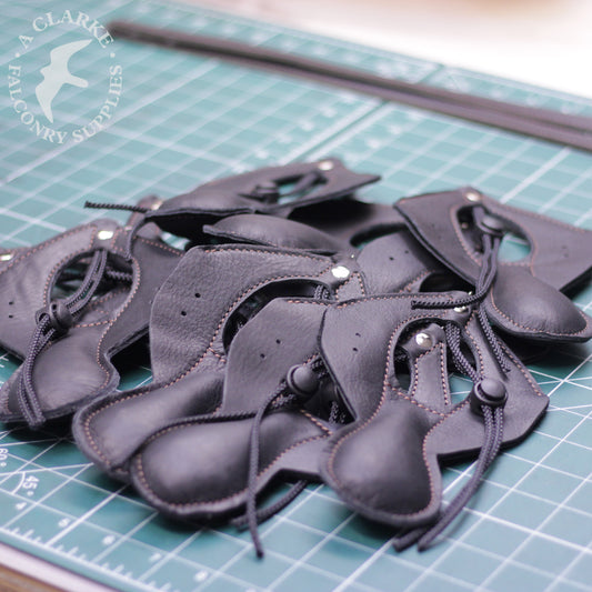 On the bench today...