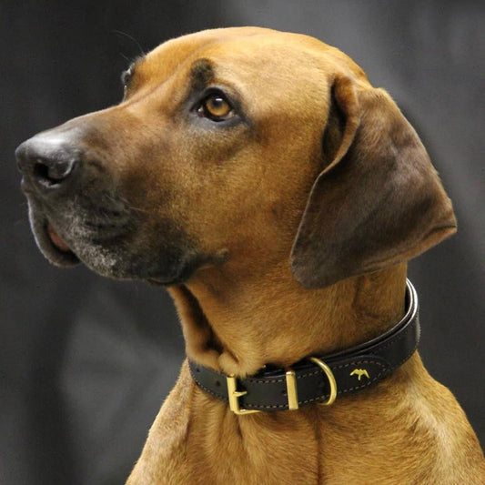 Bespoke Dog Collar in the Making