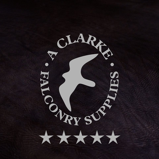 Thank You for All the Reviews!