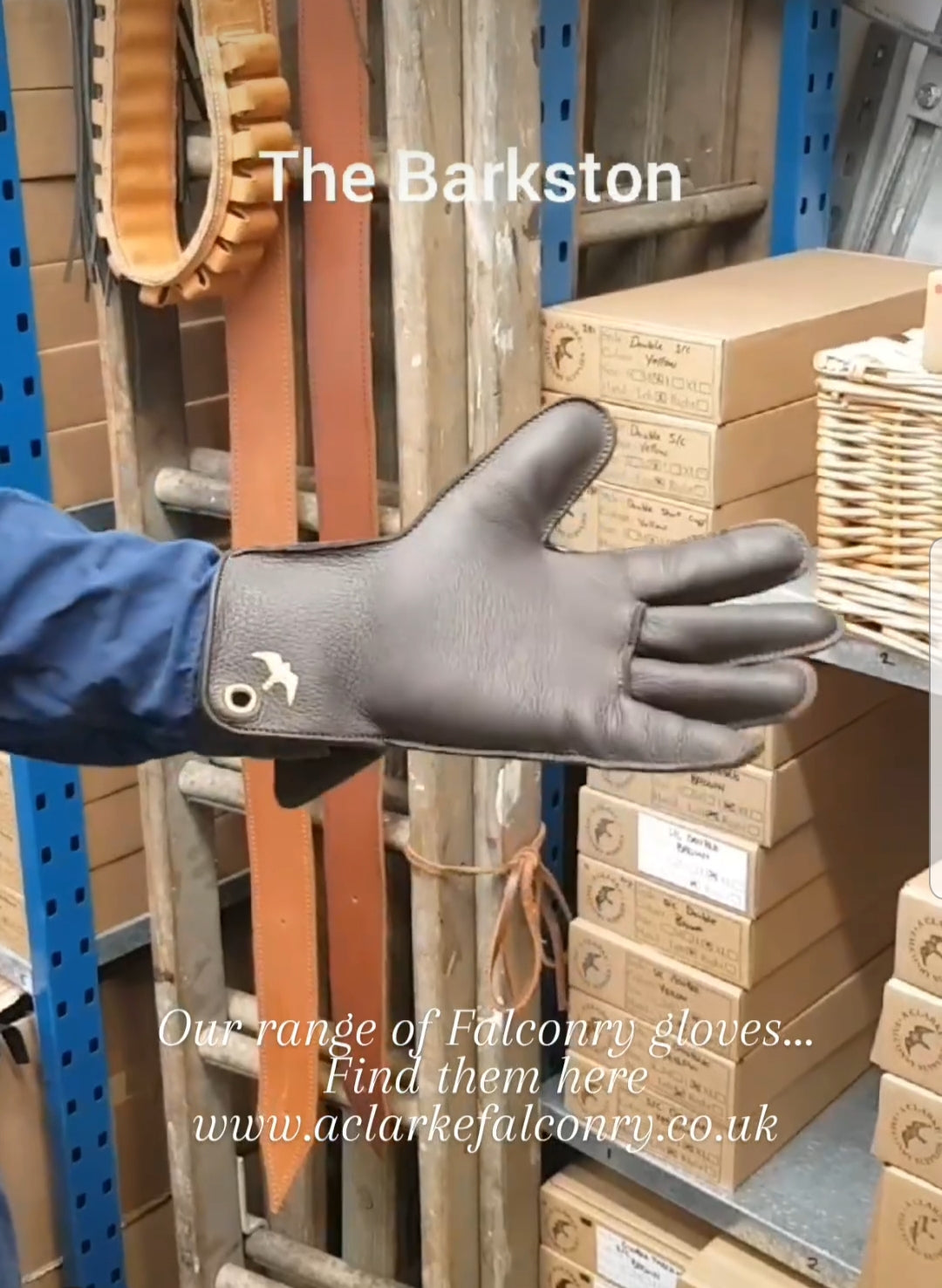 Our range of Falconry gloves...