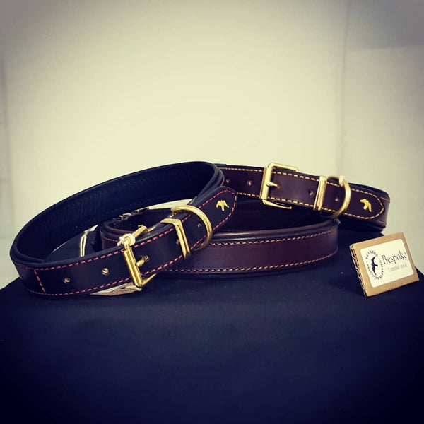 Bespoke Dog Collars for the Falconry Fair