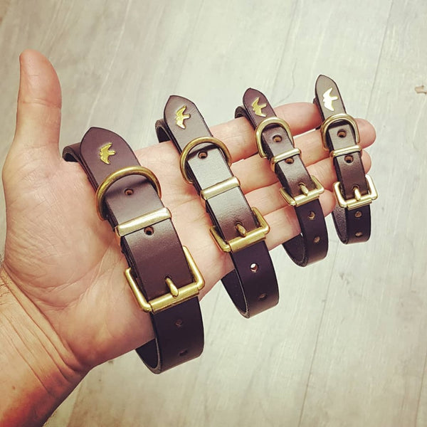 Full Set Of Bespoke Dog Collars