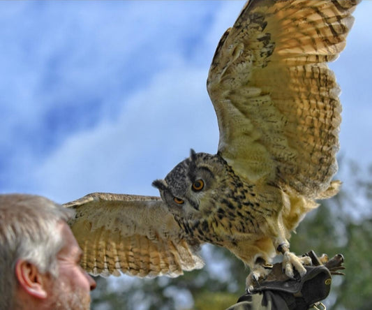 "Customer Spotlight 2022"- Graeme Neilson