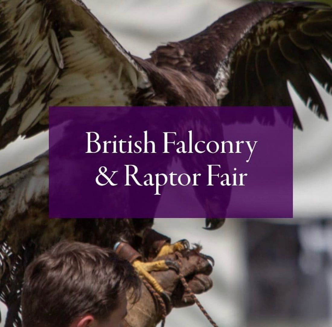 GIVEAWAY! FREE TICKETS TO THE BRITISH FALCONRY & RAPTOP FAIR - BROADLANDS COUNTRY SHOW