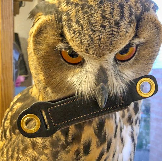 Happy Customer from Saint Petersburg