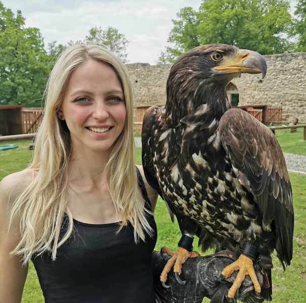 Bespoke Anklets on a Young Bald Eagle
