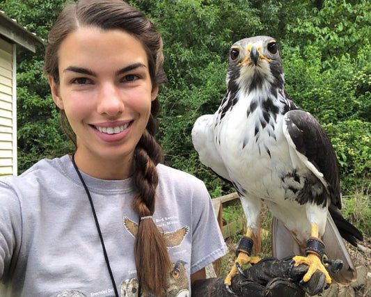 Quincy, the Augur Buzzard Wearing our Bespoke Anklets