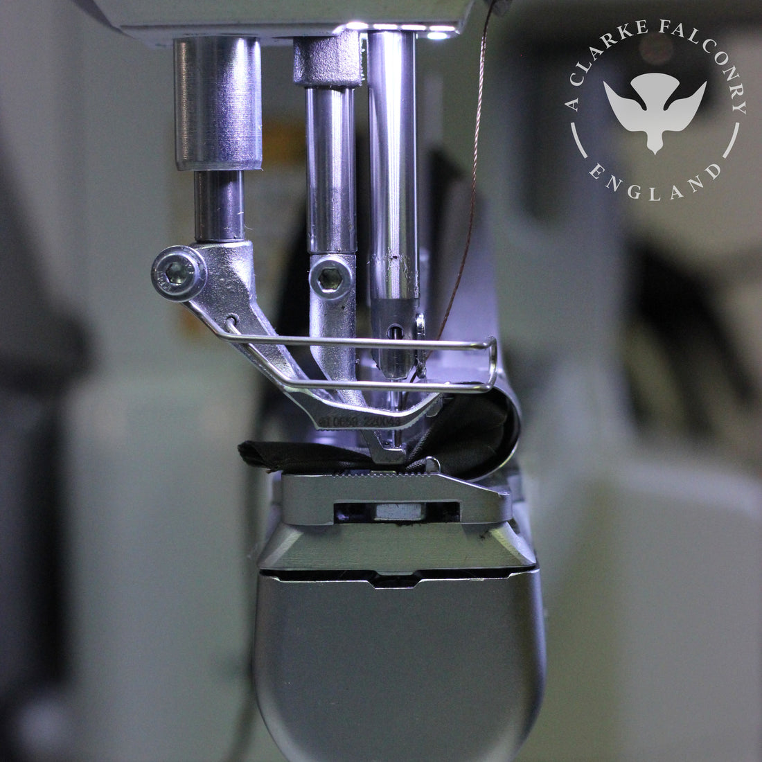 In the workshop today...