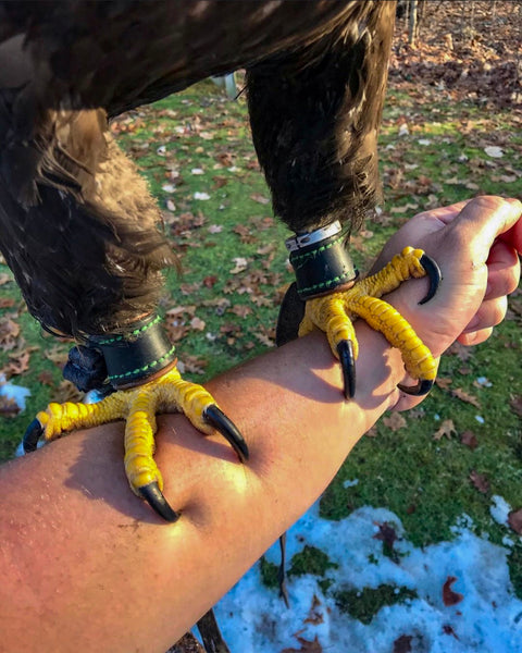 Bald Eagle Talons & Bespoke Anklets