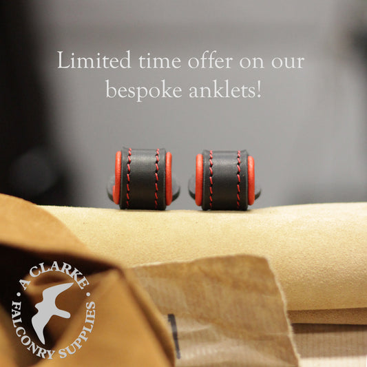 Limited time offer...