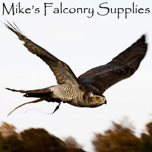 NEW DISTRIBUTOR FOR THE USA!