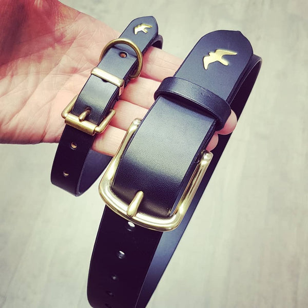 Matching Belt and Dog Collar