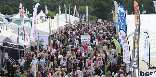 Catch Us This Upcoming Game Fair