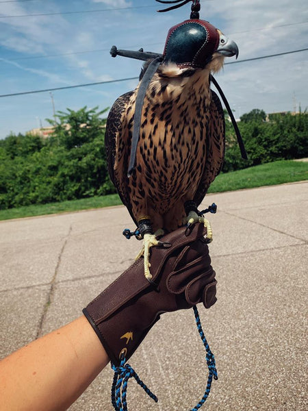 Bespoke Falconry Glove Fits Perfectly