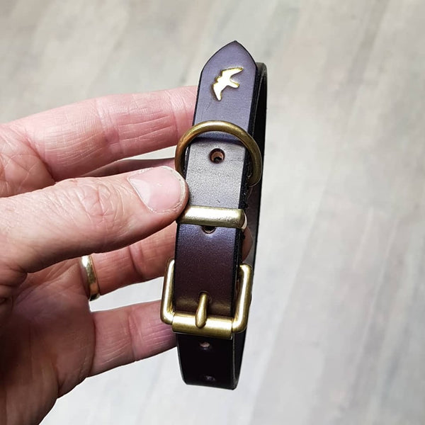 A Little Dog Collar